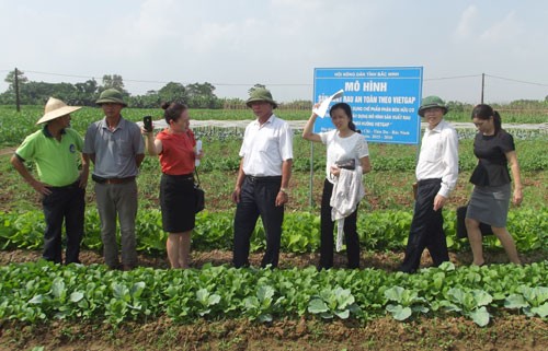Deputy Prime Minister inspects food safety in Bac Ninh - ảnh 1